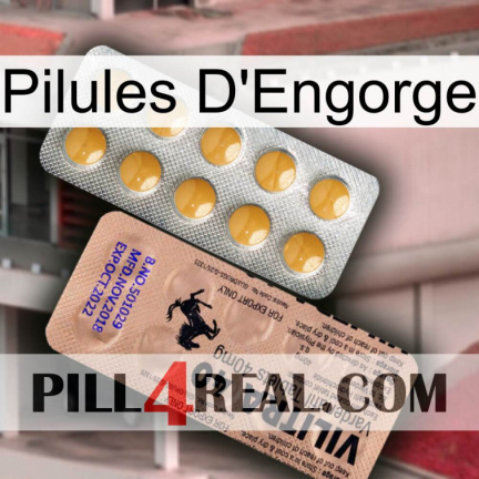 Engorge Pills 41